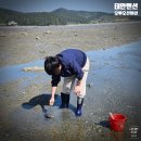 오투오션1 | [충남] 태안펜션 오투오션 해루질 낚시까지 제대로 즐기고 온 태안 여행 후기