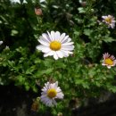 서흥농장 이미지