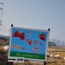 장중은농장 이미지