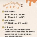 커몬댕댕 광주애견유치원&애견호텔 이미지