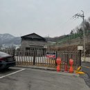 남양주 애견카페 &#39;영원이 애견카페&#39; 강아지 운동장 후기