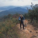 미숭산 760m 경북 고령군 고령읍, 경남 합천군 야로면 이미지