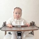 하이비트 | 야마토야 스쿠스쿠GL 하이체어 사용 후기 원목하이체어 추천