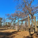 용댕이매운탕 이미지