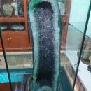 연세드림치과의원 네이버블로그