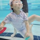 타잔 B&G 어린이 수영장 | 타잔 B&amp;G 어린이수영장 첫 달 후기