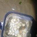 청포대숲속야영장 이미지