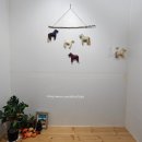 판포레스트 이미지