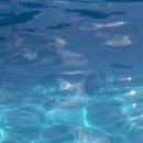 블루파크 이미지