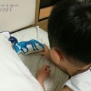 디지시스 주식회사 | 리틀포레스트 에릭칼베개, 책을 읽어주는 신기한 유아베개