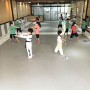 유나이티드 미르태권도장 이미지