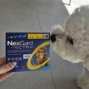 라비동물병원 이미지