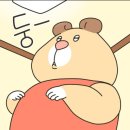 중앙대학교 글로벌인적자원개발대학원 | 중앙대학교, 글로벌인적자원개발대학원 석사 지원한 햄뽕이🐹