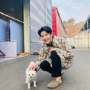 뚱보롱 이미지
