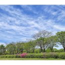 미사경정공원 이미지