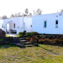 vivere 906 이미지