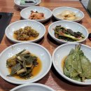 고흥만민물장어
