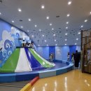 복룡동 어린이놀이테마숲 | 대전어린이회관 사계절놀이터 놀이기구 종류 등 예약 이용 후기