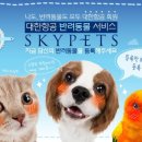 뉴스트래블 이미지