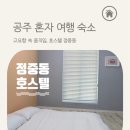 쉼 호스텔 | 공주 혼자 여행 숙소 : 제민천 호스텔 정중동