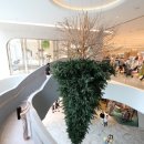 Tree of im 이미지