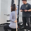 더 리얼핏 이미지