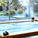 디아너스컨트리클럽 이미지