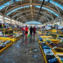 거진활어회센터 이미지