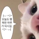 푸른고래 카라반 캠핑 이미지