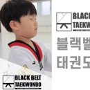 바른마음태권도장 이미지