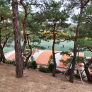 현대중학교 앞 이미지