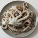 황금낙지 이미지