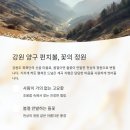 펀치볼민박 이미지