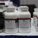 레이 휘트니스 이미지