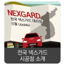 금강자동차유리상사