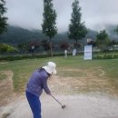 파크골프기초튼튼반 이미지