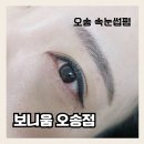 [ 보니움 오송점 ] 블랙틴팅 노글루 오송 속눈썹펌 후기