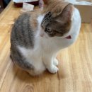 [카빙 초급]소소한 우드카빙 | 『부산나무공방/목공배우기』 부산유일 우드볼펜을 직접 만들어볼 수 있는 나무공방 “작은연못 나무공방”