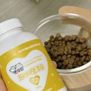 씨제이프레시웨이(주)CJ제일제당공주공장점 | 펫사랑 프리미엄 초유 시월이가 환장하고 먹는 강아지 면역 영양제