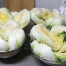상대촌마을 영농조합법인 네이버블로그