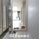 비비드주 이미지