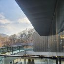 유정 | 부산 기장 카페 추천｜분위기 좋은 유정1995 기장본점 솔직 방문 후기