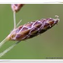 하늘지기 이미지