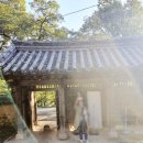월영채 이미지