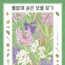숨은보물찾기 이미지