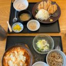 돈젠 이미지