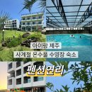 연리 | [공지] 제주도 서귀포 사계절 온수풀 수영이 가능한 숙소추천ㅣ펜션연리 내돈내산 후기