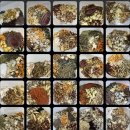 소담재한의원 이미지