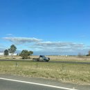 이마트24장안은하수점 | 호주 Day 2-2 (멜버른 펭귄투어 꿀팁, 마루 동물원 쿼카, 조이 투어 후기, 펭귄 퍼레이드 추천)