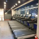 Red휘트니스 이미지